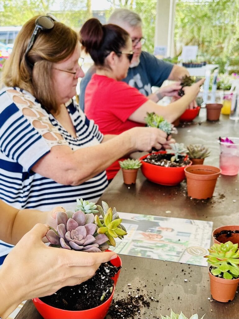 Adults creating succulent arrangements during garden workshop at Bonita Ranch plant nursery in Melbourne Florida