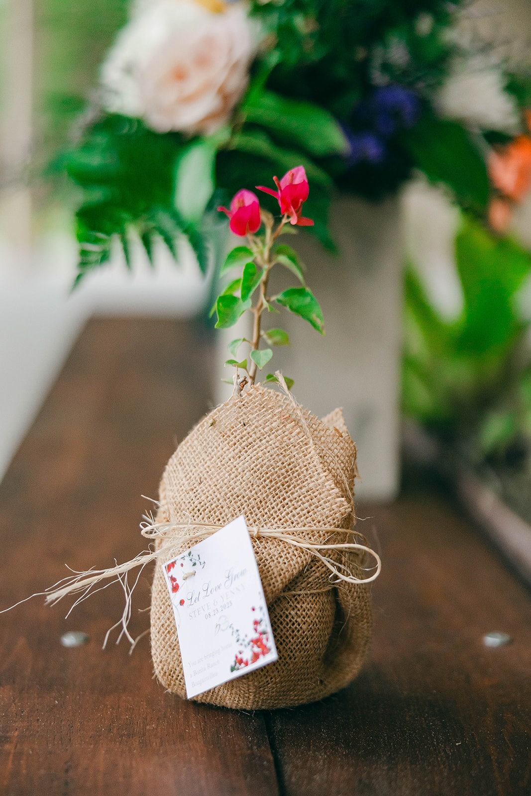 Bougainvillea plant wedding party favor from Bonita Ranch Flora plant nursery in Melbourne Florida, customized for a Bonita Ranch wedding