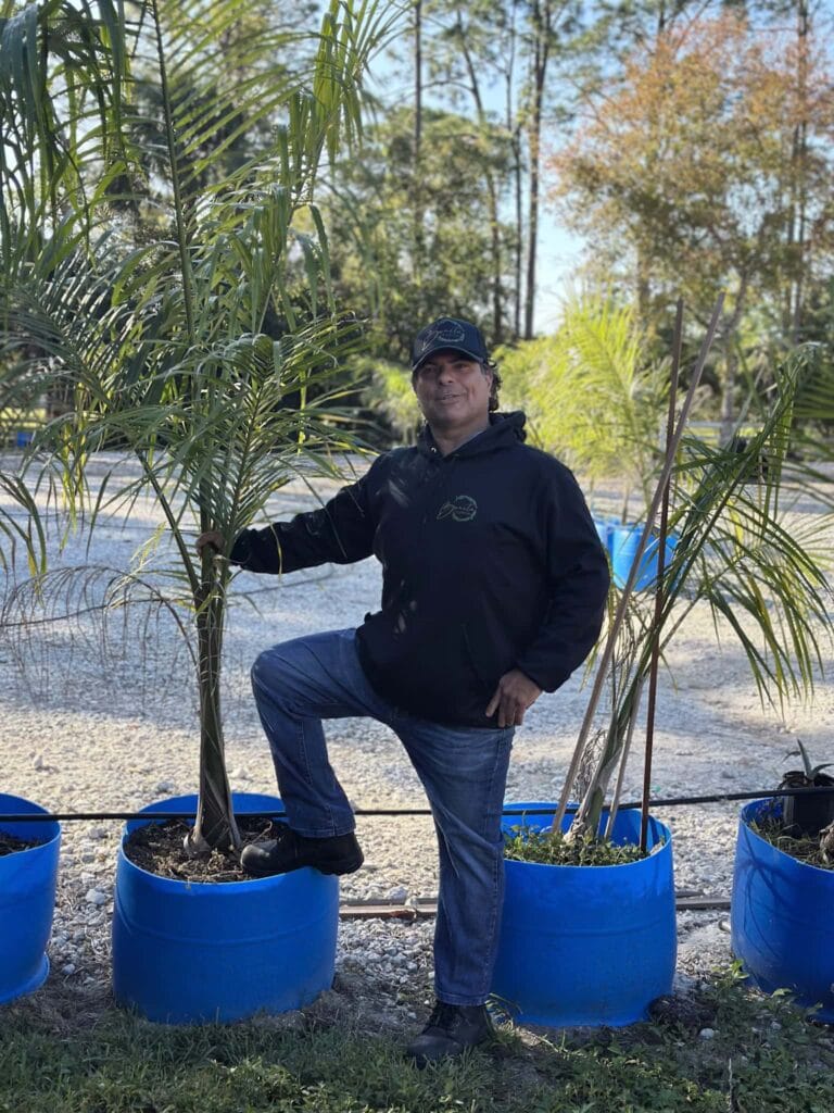 Bonita Ranch nursery owner standing with royal palm trees grown from seed in Melbourne Florida plant nursery