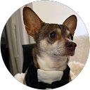 Mike & Amelia Murillo profile picture