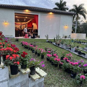 Colorful flowering plants ready for landscaping at Bonita Ranch Nursery in Melbourne, Florida.