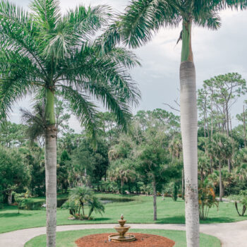 Pic by: Ardensea. Bonita Ranch wedding venue in Melbourne, Florida, featuring royal palm trees, a stone fountain, and a tranquil pond in the background.